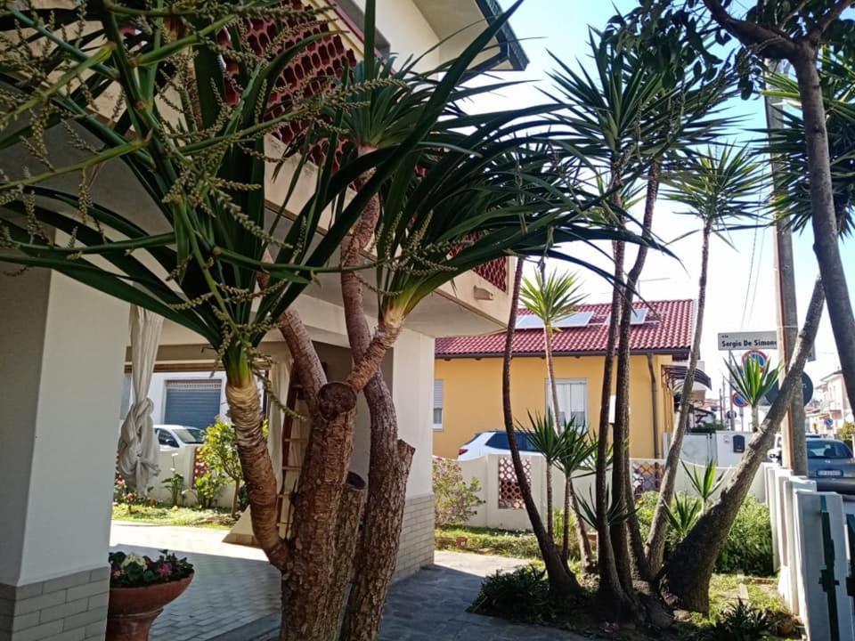 Florinda B&B เวียเรจโจ ภายนอก รูปภาพ