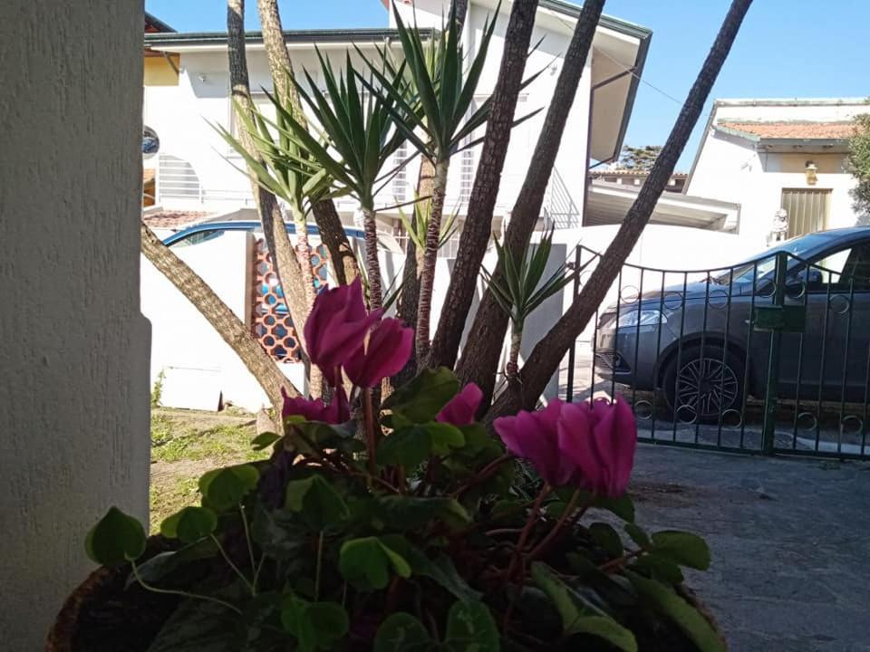 Florinda B&B เวียเรจโจ ภายนอก รูปภาพ